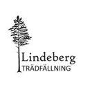 Lindeberg trädfällning