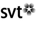 SVT (Sveriges Television)