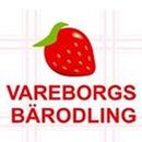 Vareborgs Bärodling AB