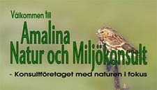Amalina Natur- och Miljökonsult